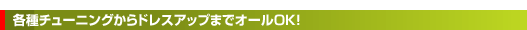 各種チューニングからドレスアップまでオールOK!